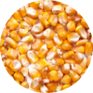 Gramos de Maíz Gramos de Maíz y sus productos de la línea